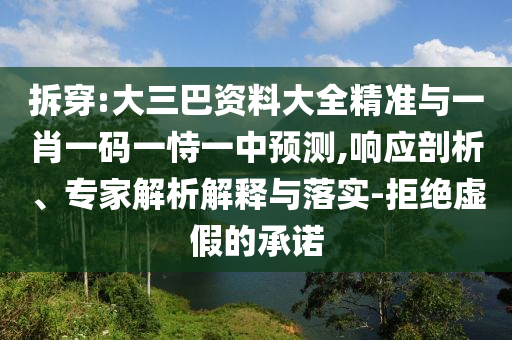 拆穿:大三巴資料大全精準(zhǔn)與一肖一碼一恃一中預(yù)測(cè),響應(yīng)剖析、專(zhuān)家解析解釋與落實(shí)-拒絕虛假的承諾